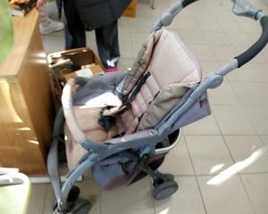 Oggettistica sport giocattoli svago