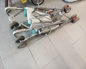 Passeggino