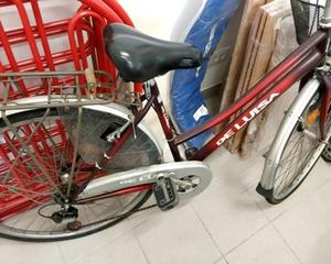 Oggettistica sport giocattoli svago