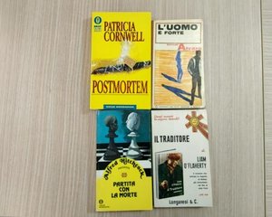 Libro romanzo