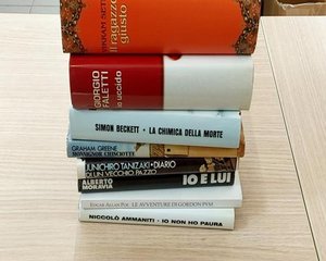 Libro romanzo