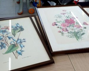 Quadro