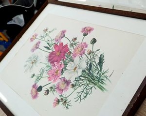 Quadro