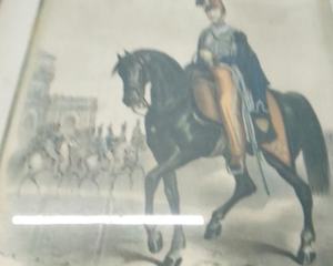 Oggettistica sport giocattoli svago