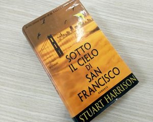 Libro romanzo