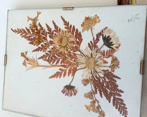 Quadro