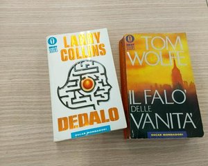 Libro romanzo