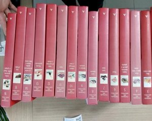 Enciclopedia