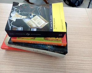 Libro romanzo