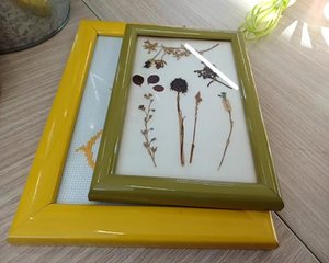 Quadro