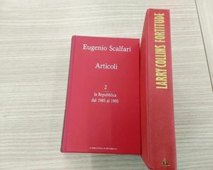 Libro romanzo
