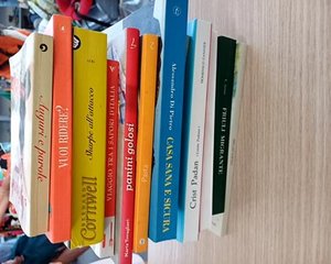 Libro romanzo