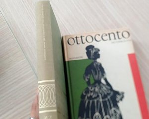 Libro romanzo