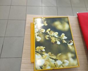 Oggettistica sport giocattoli svago